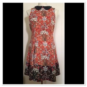 Lauren Conrad Peter Pam collar flower print dress